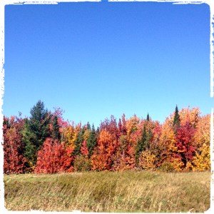 Photo 2014-09-27 12 48 17