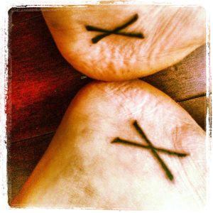 1801265_10151919328267021_986267778_o